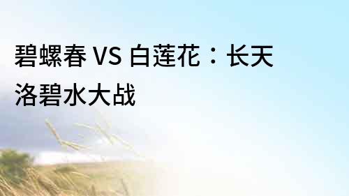 碧螺春 VS 白莲花：长天洛碧水大战