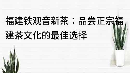 福建铁观音新茶：品尝正宗福建茶文化的最佳选择