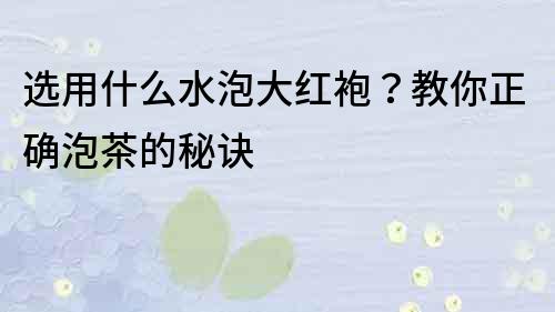 选用什么水泡大红袍？教你正确泡茶的秘诀