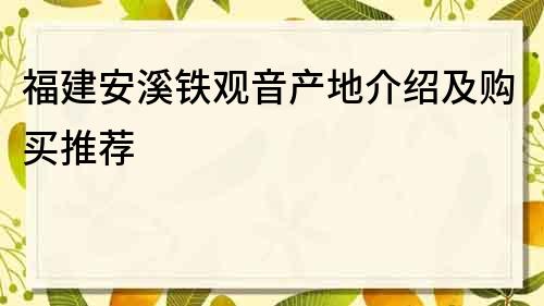 福建安溪铁观音产地介绍及购买推荐