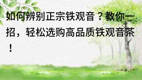 如何辨别正宗铁观音？教你一招，轻松选购高品质铁观音茶！