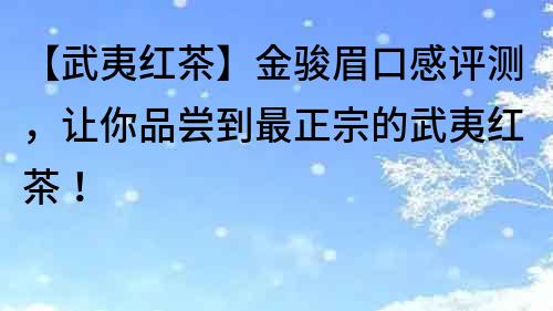 【武夷红茶】金骏眉口感评测，让你品尝到最正宗的武夷红茶！