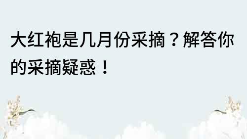 大红袍是几月份采摘？解答你的采摘疑惑！