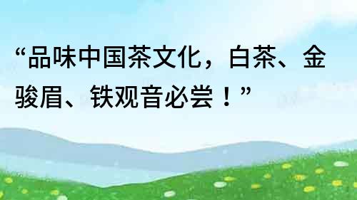 “品味中国茶文化，白茶、金骏眉、铁观音必尝！”