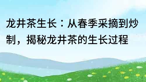 龙井茶生长：从春季采摘到炒制，揭秘龙井茶的生长过程