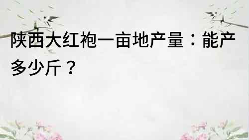 陕西大红袍一亩地产量：能产多少斤？