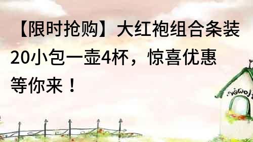 【限时抢购】大红袍组合条装20小包一壶4杯，惊喜优惠等你来！