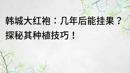 韩城大红袍：几年后能挂果？探秘其种植技巧！