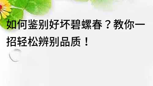 如何鉴别好坏碧螺春？教你一招轻松辨别品质！