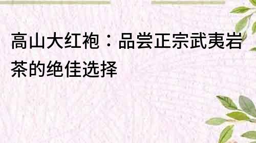 高山大红袍：品尝正宗武夷岩茶的绝佳选择