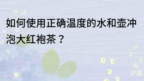 如何使用正确温度的水和壶冲泡大红袍茶？