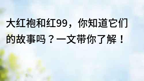 大红袍和红99，你知道它们的故事吗？一文带你了解！