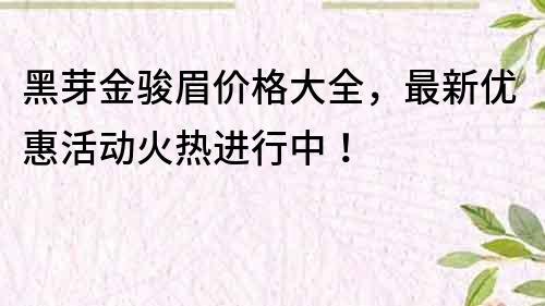 黑芽金骏眉价格大全，最新优惠活动火热进行中！