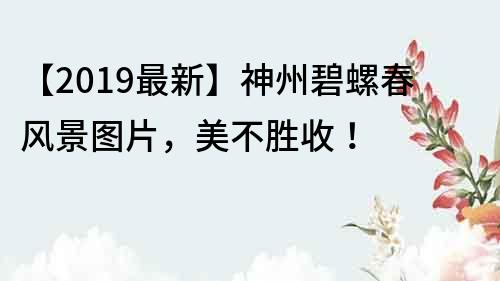 【2019最新】神州碧螺春风景图片，美不胜收！