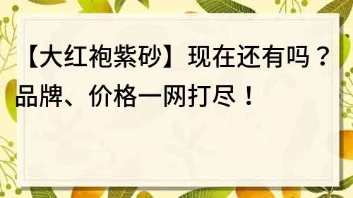 【大红袍紫砂】现在还有吗？品牌、价格一网打尽！