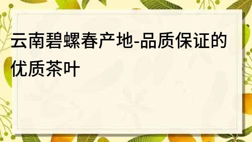 云南碧螺春产地-品质保证的优质茶叶