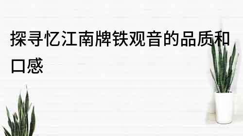 探寻忆江南牌铁观音的品质和口感