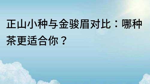 正山小种与金骏眉对比：哪种茶更适合你？