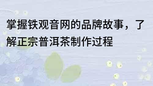 掌握铁观音网的品牌故事，了解正宗普洱茶制作过程