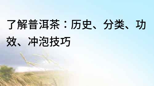 了解普洱茶：历史、分类、功效、冲泡技巧