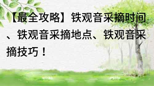 【最全攻略】铁观音采摘时间、铁观音采摘地点、铁观音采摘技巧！