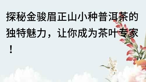 探秘金骏眉正山小种普洱茶的独特魅力，让你成为茶叶专家！