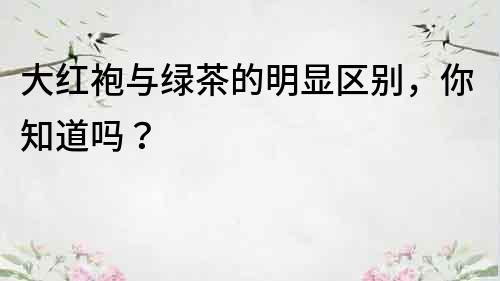 大红袍与绿茶的明显区别，你知道吗？