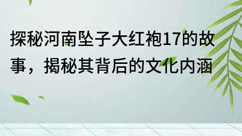 探秘河南坠子大红袍17的故事，揭秘其背后的文化内涵