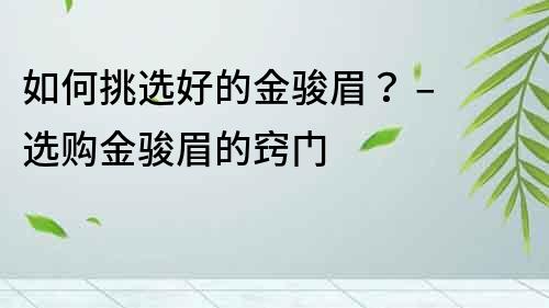 如何挑选好的金骏眉？ – 选购金骏眉的窍门