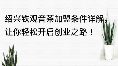 绍兴铁观音茶加盟条件详解，让你轻松开启创业之路！