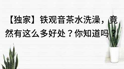 【独家】铁观音茶水洗澡，竟然有这么多好处？你知道吗？