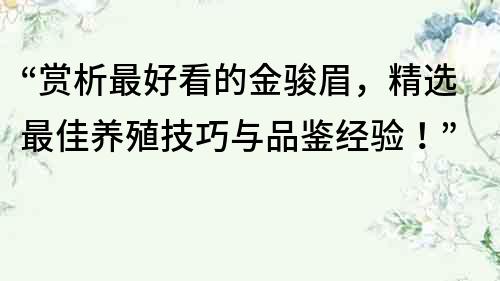 “赏析最好看的金骏眉，精选最佳养殖技巧与品鉴经验！”