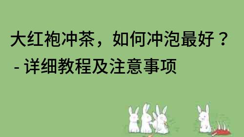 大红袍冲茶，如何冲泡最好？ - 详细教程及注意事项