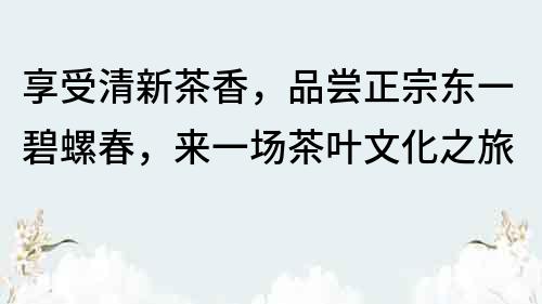 享受清新茶香，品尝正宗东一碧螺春，来一场茶叶文化之旅