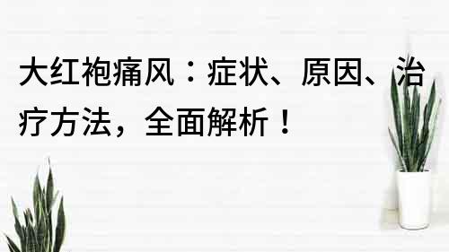 大红袍痛风：症状、原因、治疗方法，全面解析！