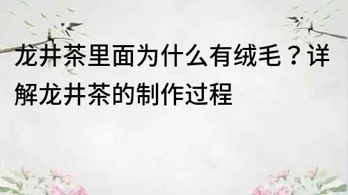 龙井茶里面为什么有绒毛？详解龙井茶的制作过程