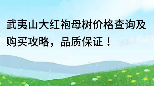 武夷山大红袍母树价格查询及购买攻略，品质保证！