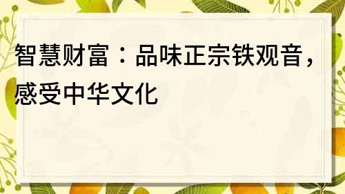 智慧财富：品味正宗铁观音，感受中华文化