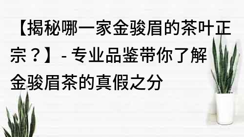 【揭秘哪一家金骏眉的茶叶正宗？】- 专业品鉴带你了解金骏眉茶的真假之分