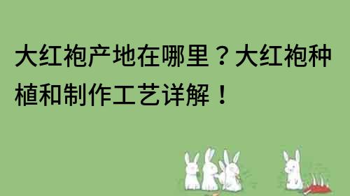 大红袍产地在哪里？大红袍种植和制作工艺详解！