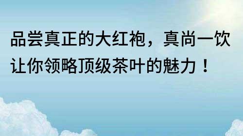 品尝真正的大红袍，真尚一饮让你领略顶级茶叶的魅力！