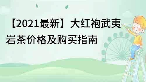 【2022最新】大红袍武夷岩茶价格及购买指南