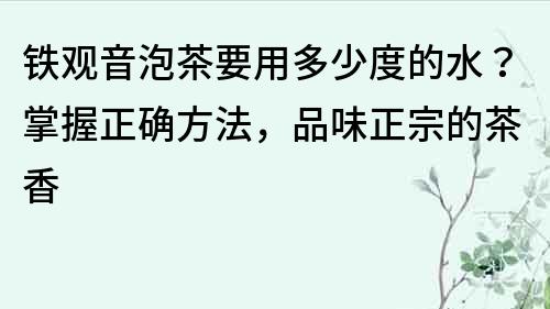 铁观音泡茶要用多少度的水？掌握正确方法，品味正宗的茶香