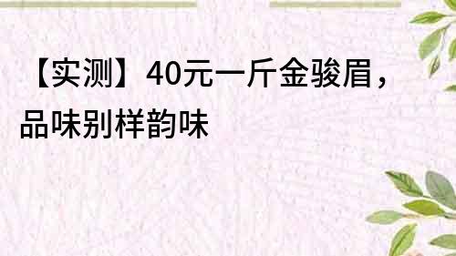 【实测】40元一斤金骏眉，品味别样韵味