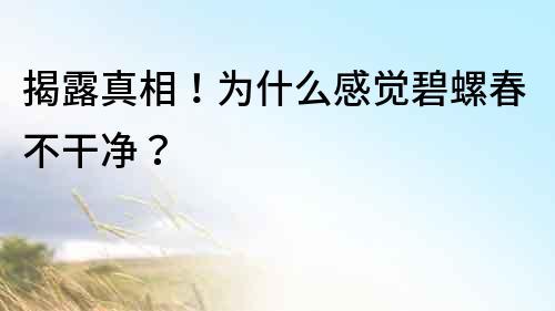 揭露真相！为什么感觉碧螺春不干净？