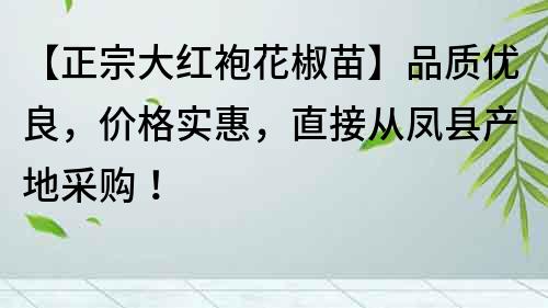 【正宗大红袍花椒苗】品质优良，价格实惠，直接从凤县产地采购！