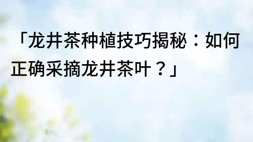 「龙井茶种植技巧揭秘：如何正确采摘龙井茶叶？」