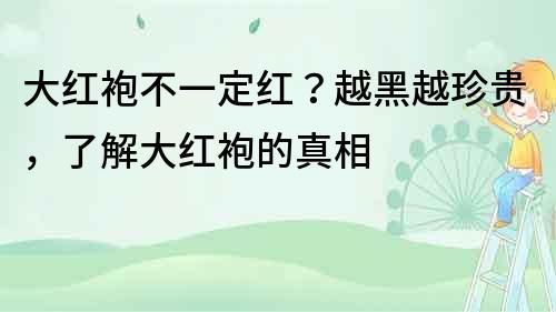 大红袍不一定红？越黑越珍贵，了解大红袍的真相