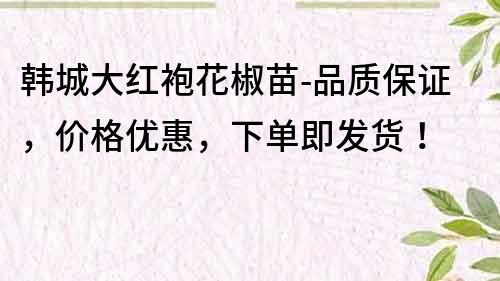 韩城大红袍花椒苗-品质保证，价格优惠，下单即发货！