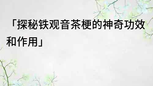 「探秘铁观音茶梗的神奇功效和作用」